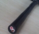 FS-YJV，FS-MGYJV，FS-YJV22防鼠防水電纜